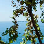 Szálloda California